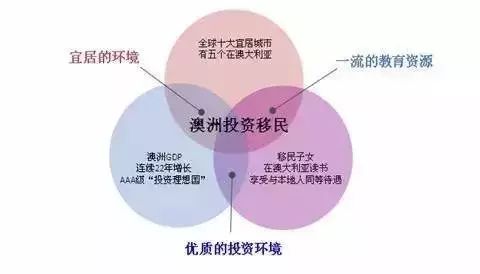 留学移民专业选择，探索最佳路径与策略