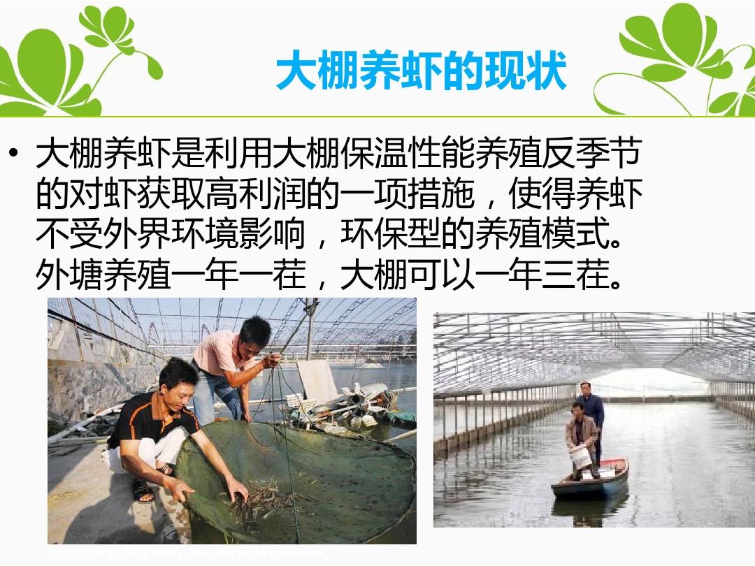 江苏大棚养虾成本分析