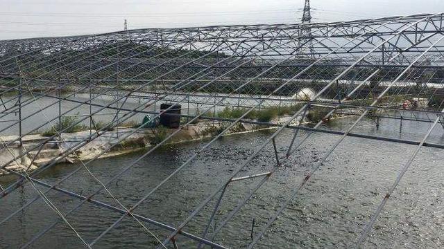 温室甲鱼大棚，现代水产养殖的新模式