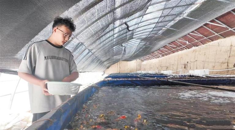 大棚薄膜养鱼技术，创新养殖模式及其前景展望