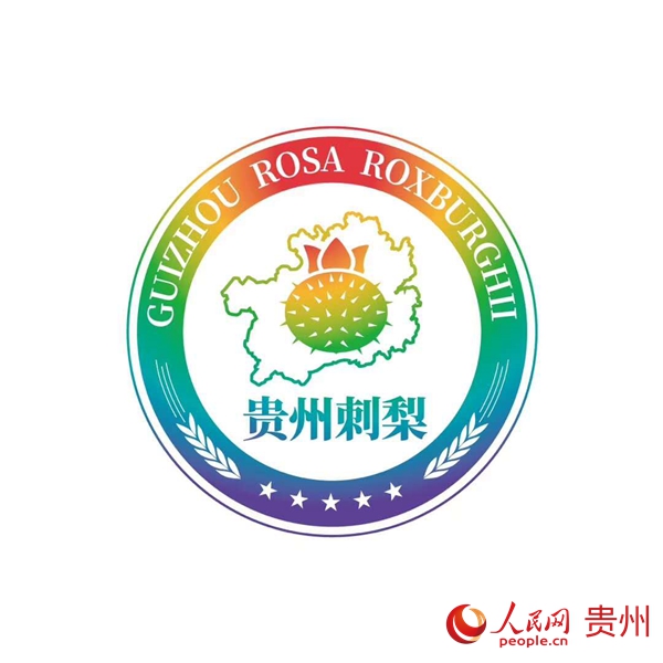 家政行业商标图案，品牌标识与市场竞争力的重要一环