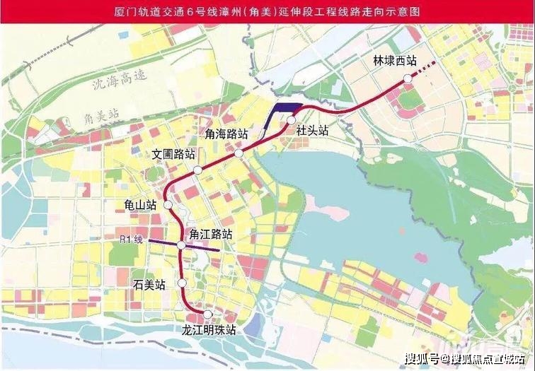 木纹石头，自然之美与独特魅力的融合