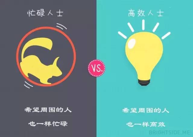 梅花创投与Bb邮箱，共创智能投资与高效沟通的未来
