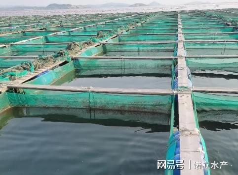 海参大棚养殖环境，技术与管理探讨