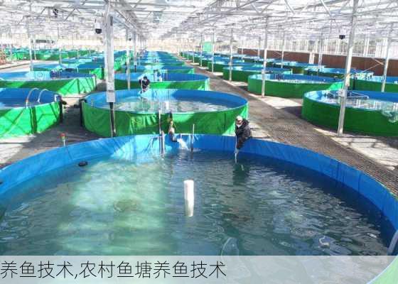 大棚养鱼书，现代养殖技术的探索与实践
