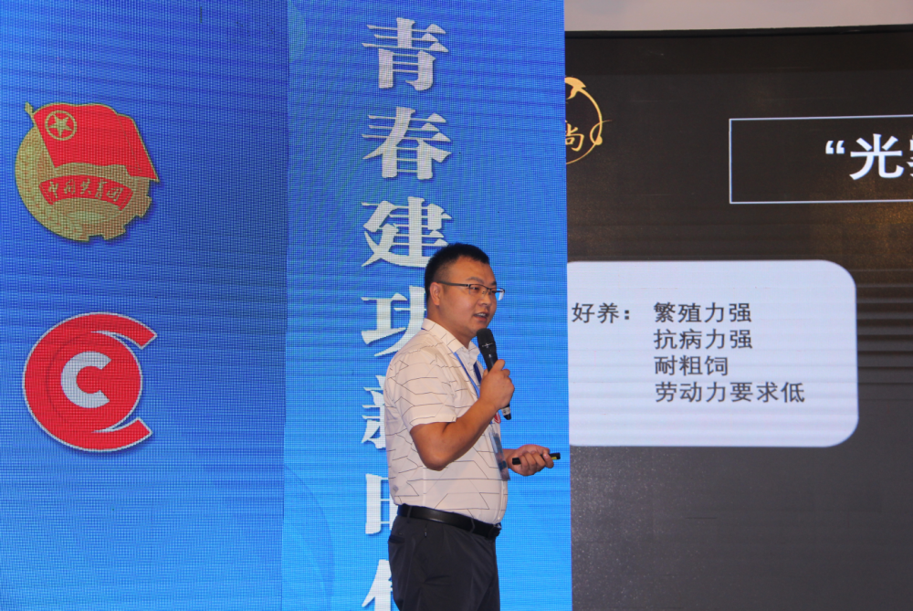 中青创投网，引领青年创业投资的新时代力量