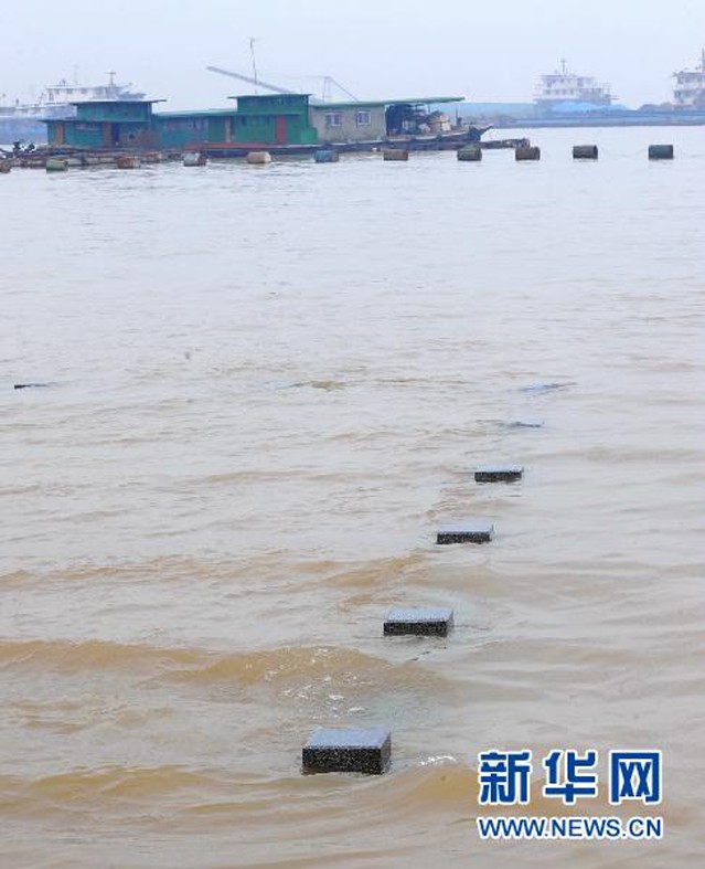 长江城陵矶水位公告图，揭示长江水情的实时动态窗口