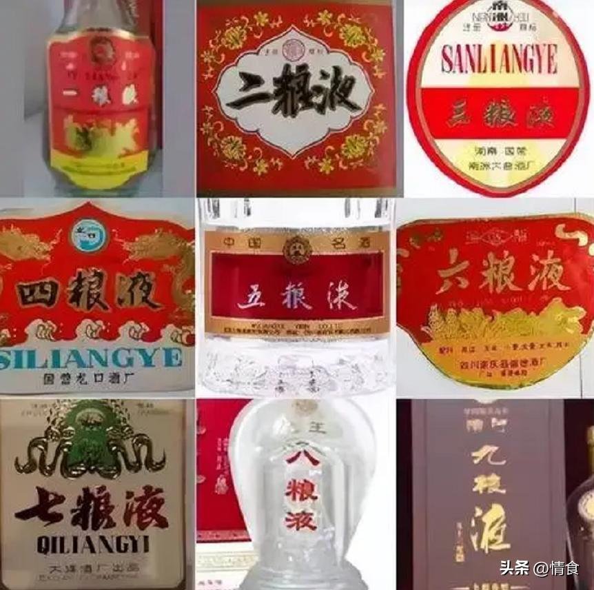 黄金狸猫，神秘魅力的象征与珍稀宠物的独特风采