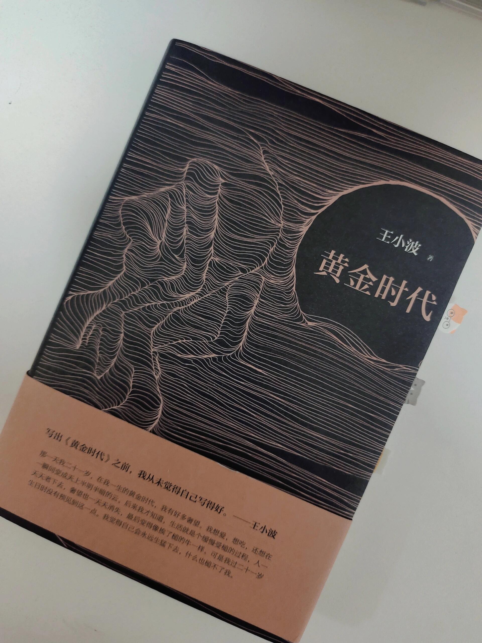 黄金时代在线阅读，探索文学宝藏的新纪元