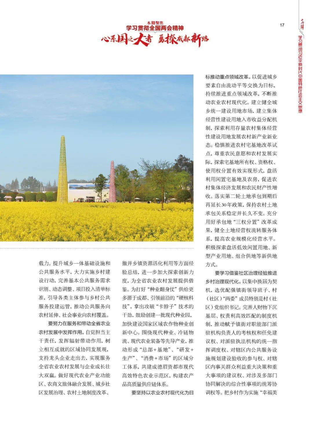 黄金山村，乡村生活的真实写照与探索之旅（txt全文下载）
