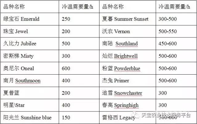 地理测量软件，推动空间数据科学发展的关键力量