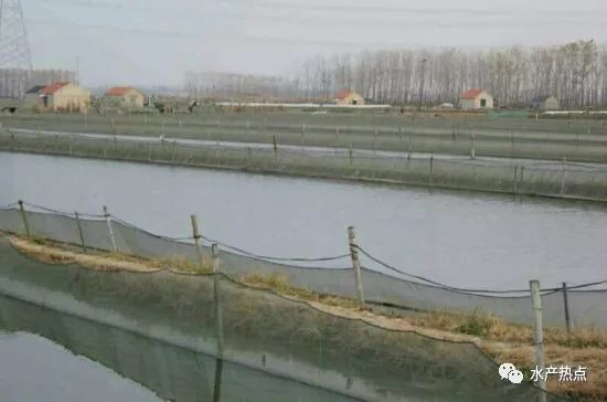 大棚帆布养虾基地，现代水产养殖的新模式