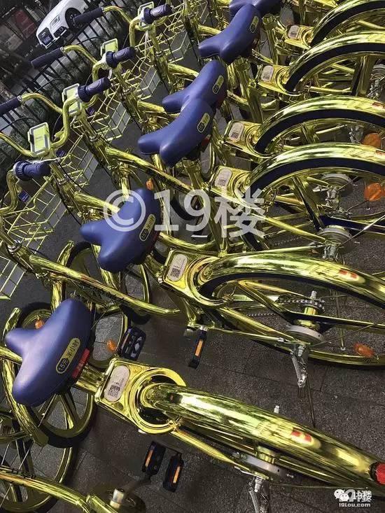 圣斗士星矢小说中的黄金女主——闪耀之光