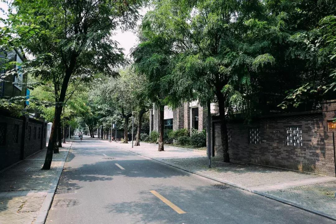 咖啡木纹石材产地，探寻自然纹理与独特风味的源头