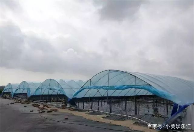 水产大棚如何保温