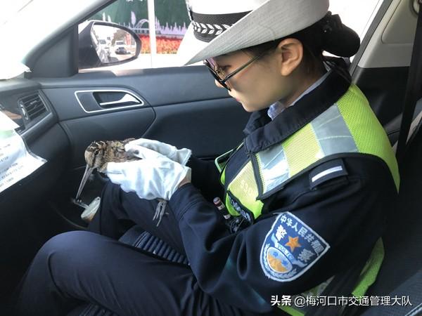 梅河口警察待遇研究