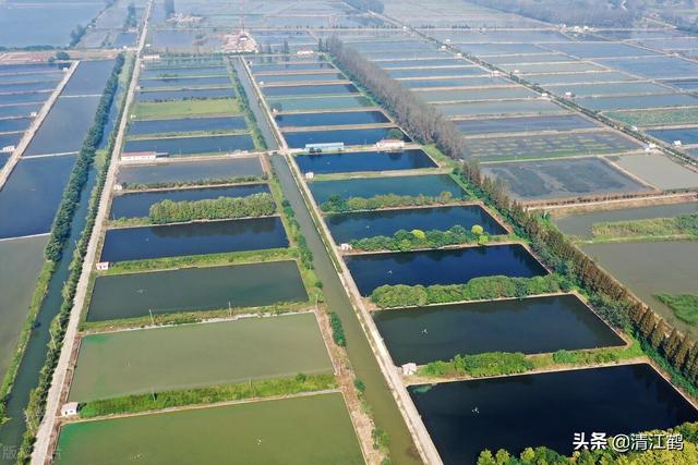 大棚养蟹池设计图，高效养殖的新篇章