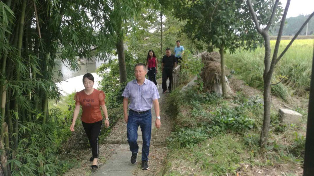 锦屏木纹青石，自然之美的独特展现