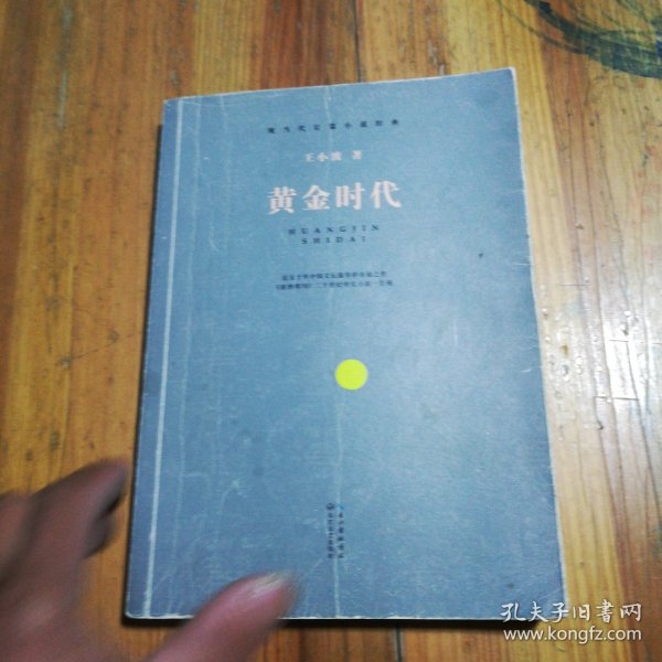 小说黄金时代，文学繁荣的璀璨篇章