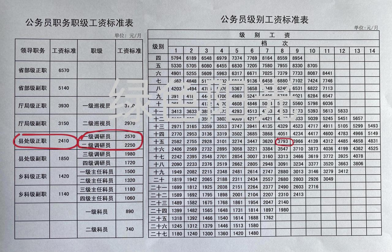 国企正处级待遇，探究与解析