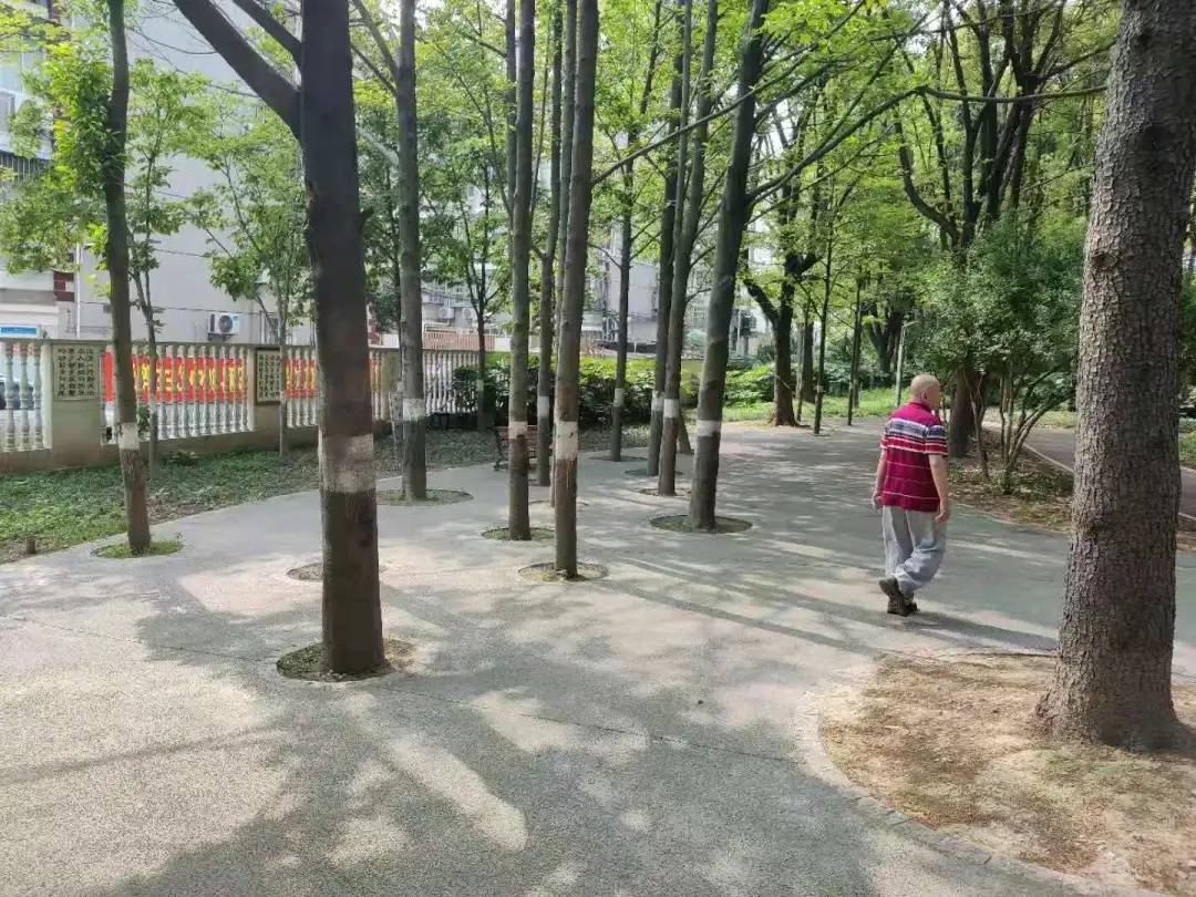 妇科小儿专家，守护女性健康的守护者
