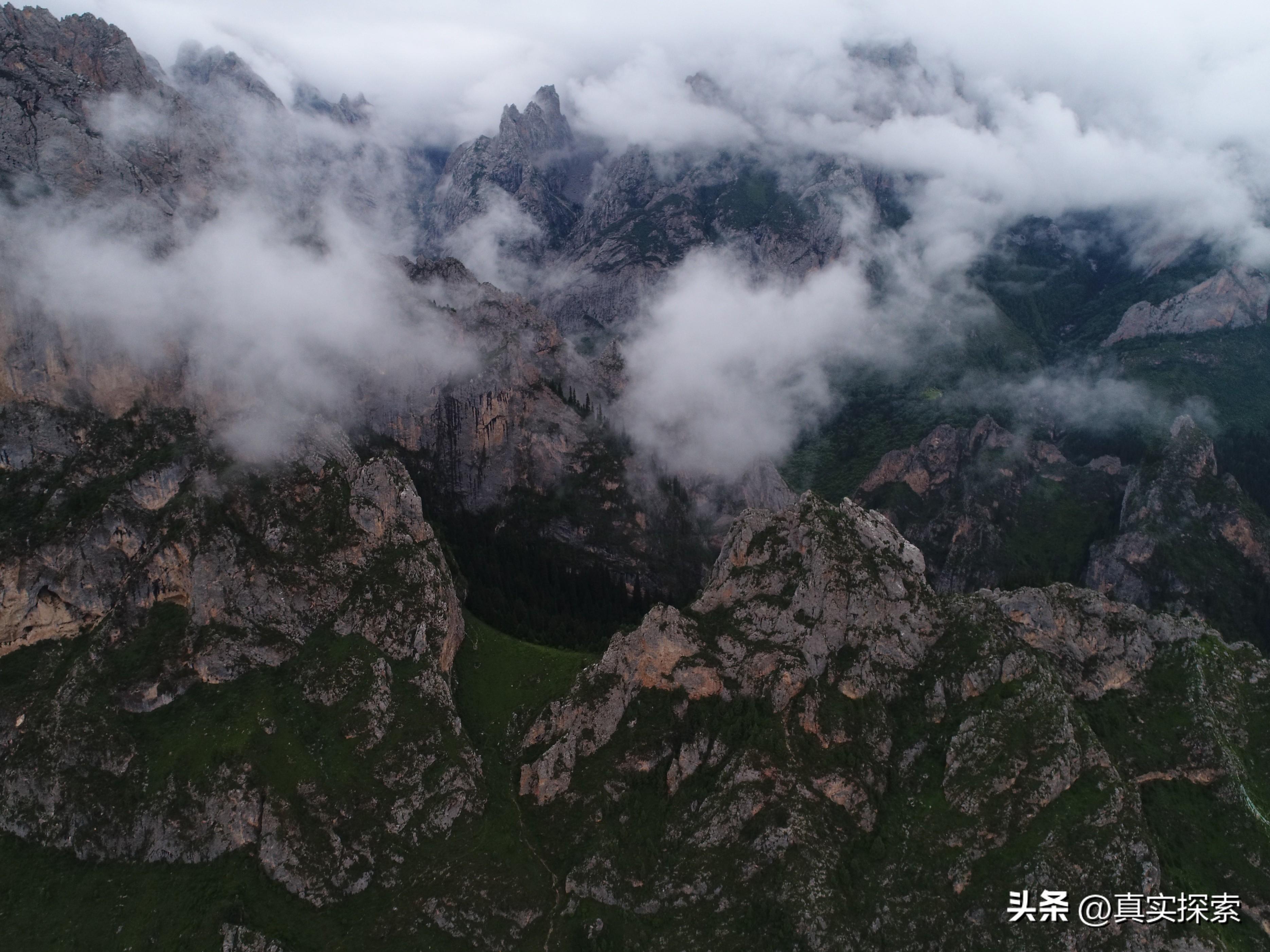秦岭，一本书的价值与探索之旅