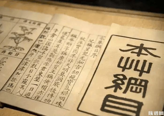 本草纲目养生治病一本全，探寻古代智慧与现代应用