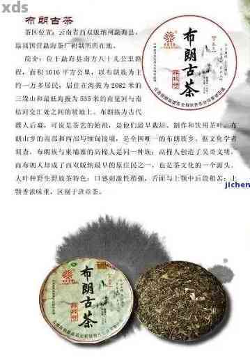 寻找一本关于普洱茶的书籍，深度探索其历史、文化与品质
