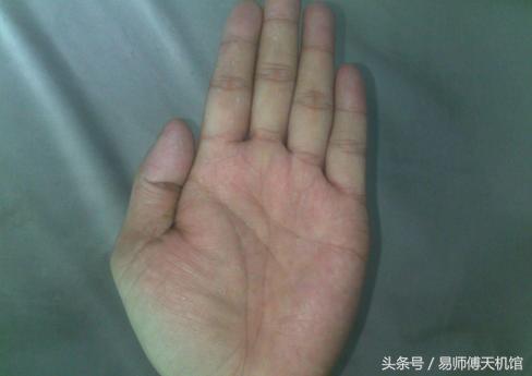 人生运势一本通，探索命运之轮的秘密