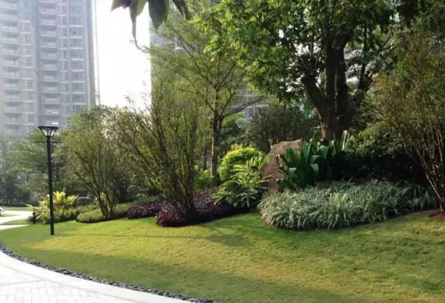 园林植物品种概念及其应用探讨