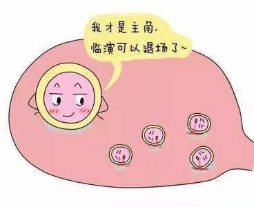 试管婴儿技术中卵泡大小与取卵过程的重要性