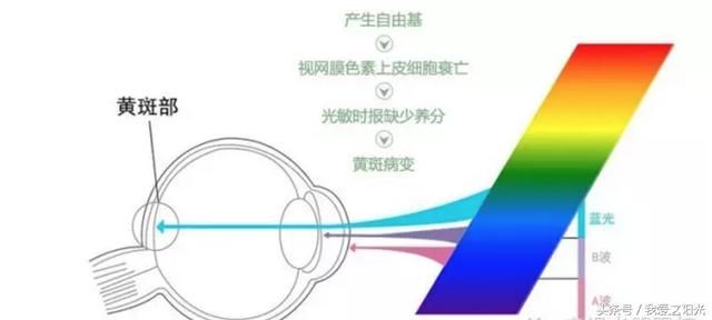 防蓝光镜片真假识别与选购指南