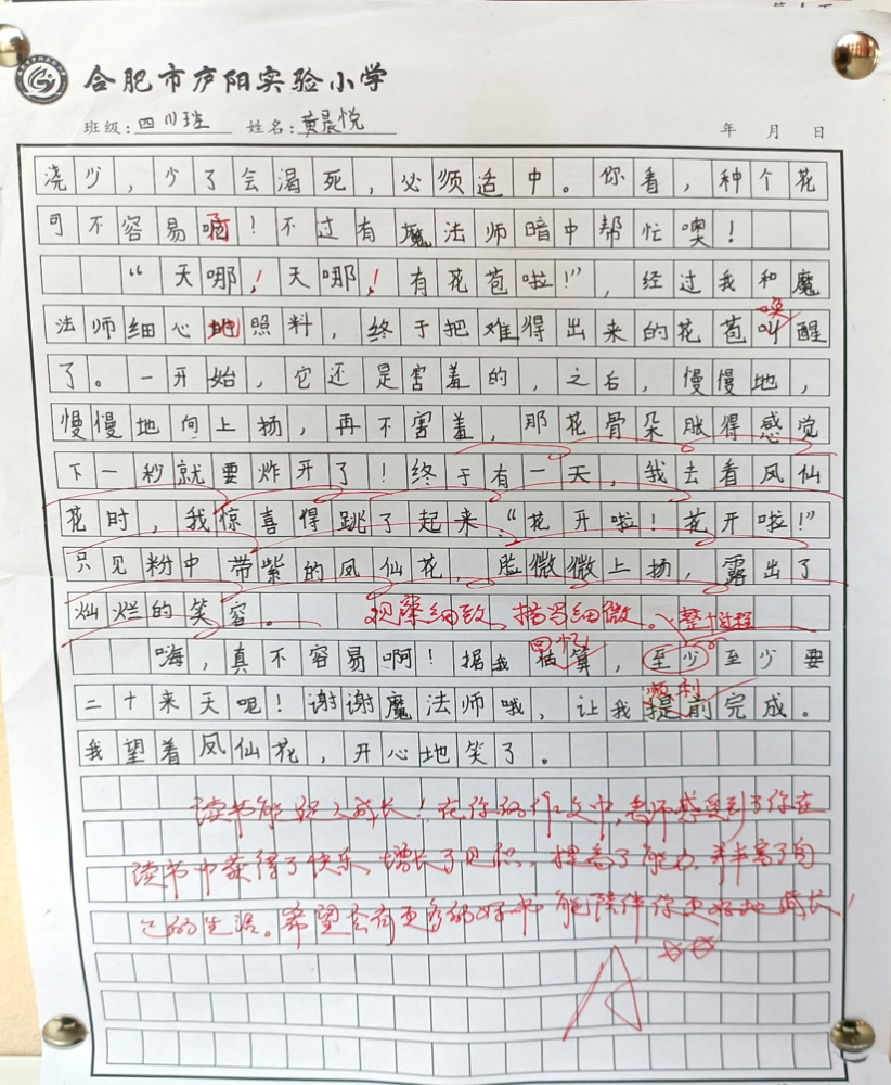 一本之书与智商高的奥秘
