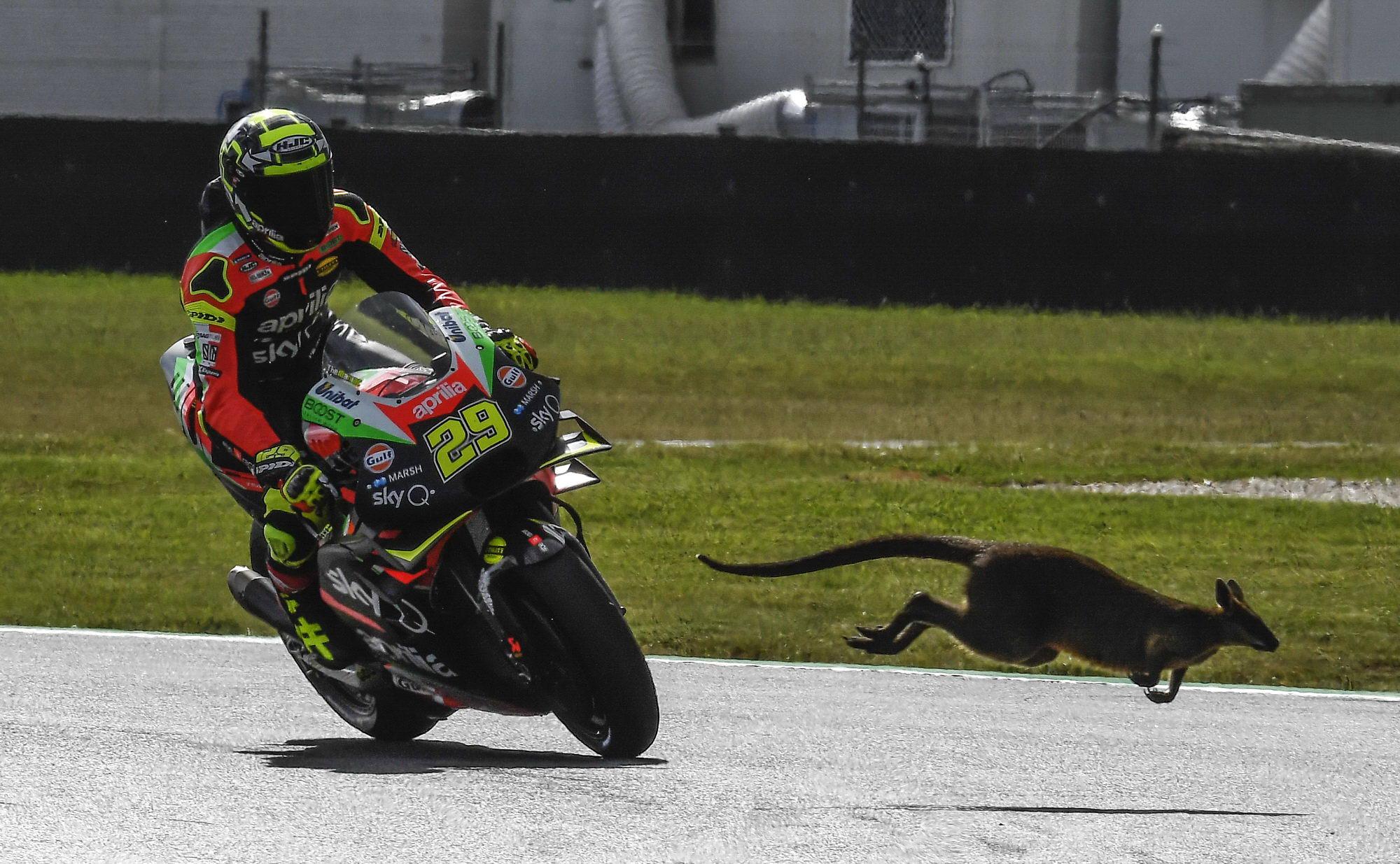 Motogp赛事图标，速度与激情的象征