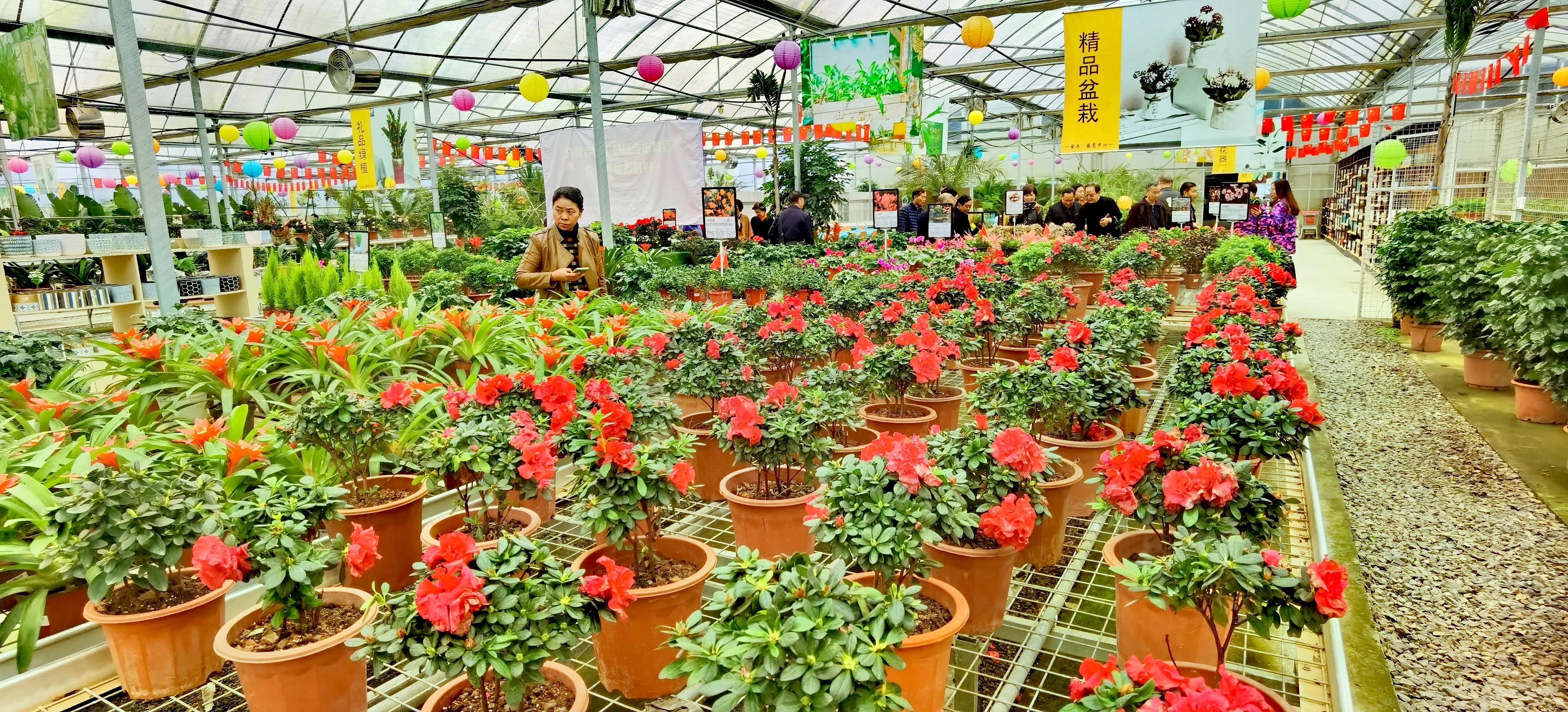园林小品种植，美化环境，提升生活品质的艺术手法