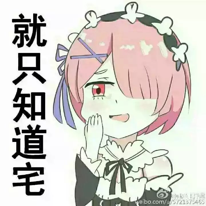 Re拉姆表情包，萌趣无穷的网络新宠