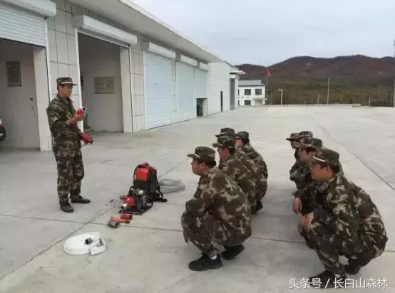 大班美术森林教案，探索与创意的森林艺术之旅