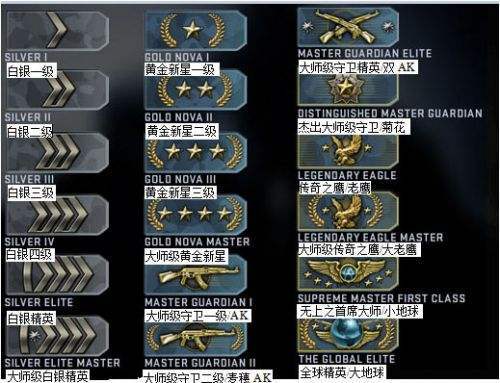 CSGO分为什么阵容，游戏内的团队协作与策略解析