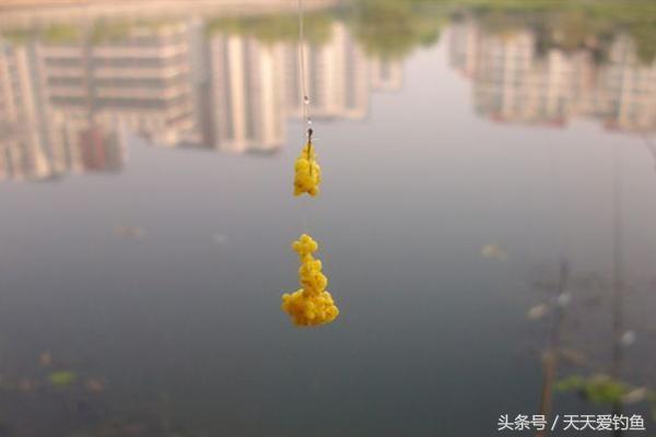自行车磨电滚拆解，深入了解自行车磨电滚及其拆解过程