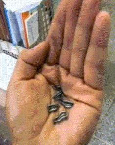 如何识别镜片真假鉴别