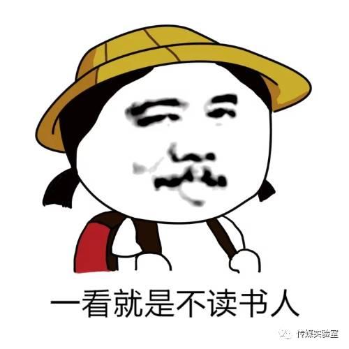 简单表情包的本子，一种文化与交流的革新